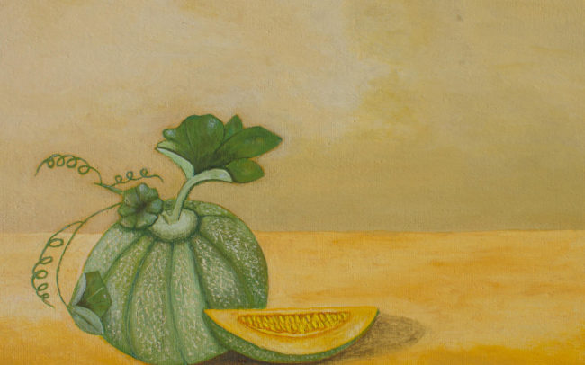 Cantaloupe meloen