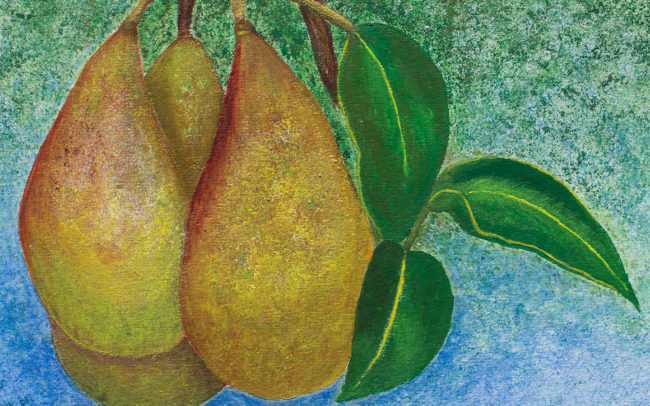 Tros peren detail